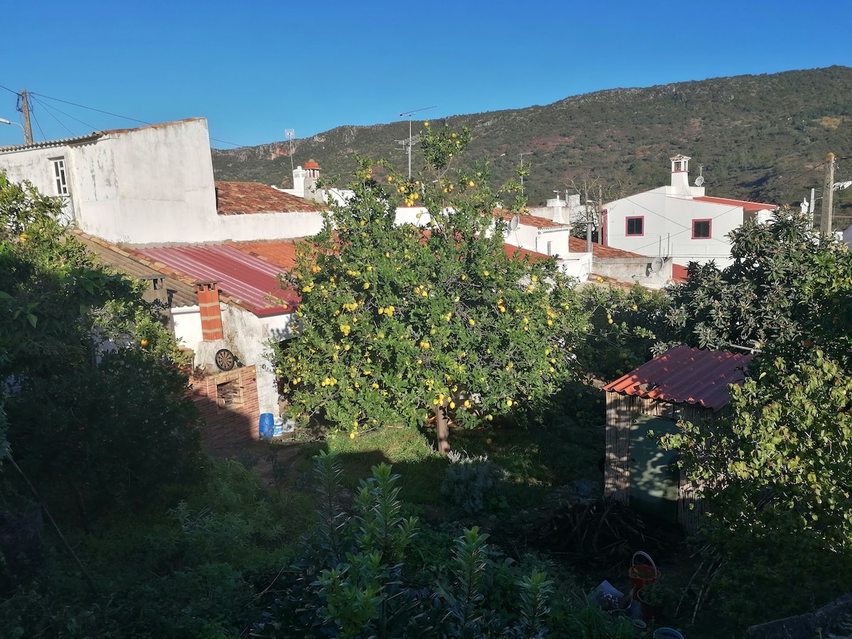 A view of a rural village showcases a lush garden featuring a vibrant lemon tree. In the background, traditional houses with red roofs and white facades are visible against a backdrop of rolling green hills. The clear blue sky enhances the serene environment.