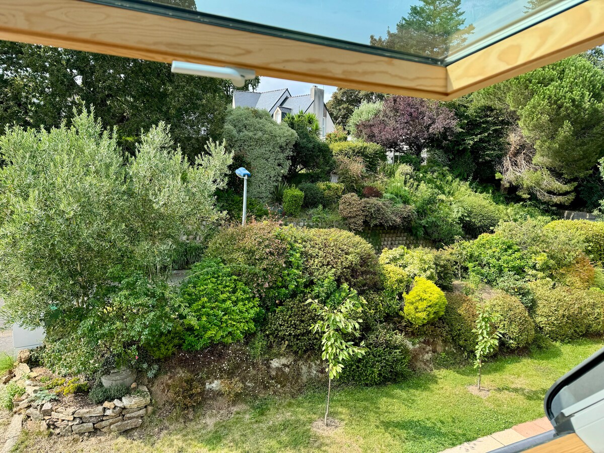 A view from the window showcases a lush garden filled with various trees and shrubs. Different shades of green create a diverse landscape, while pathways and small plants add texture. The image captures a sense of tranquility in this natural setting.