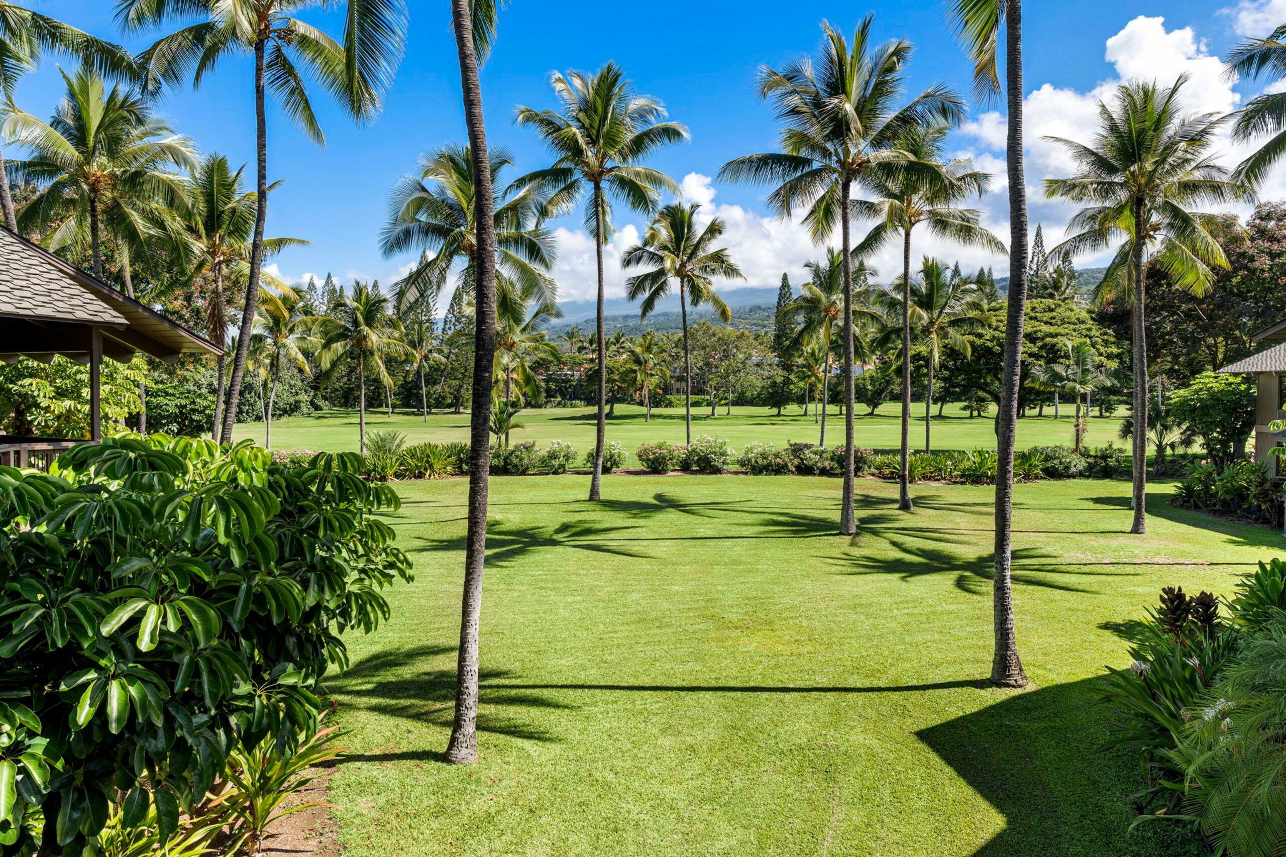 Condo in Kailua-Kona · ★5.0 · 1 bedroom · 2 beds · 1 bath - Image 79