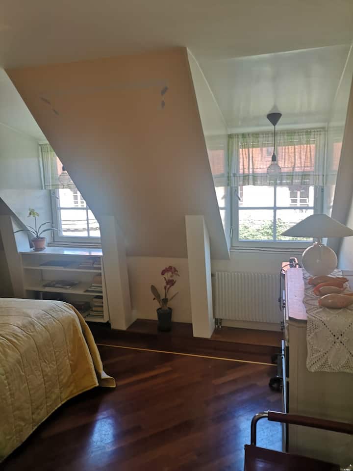 Habitación 1