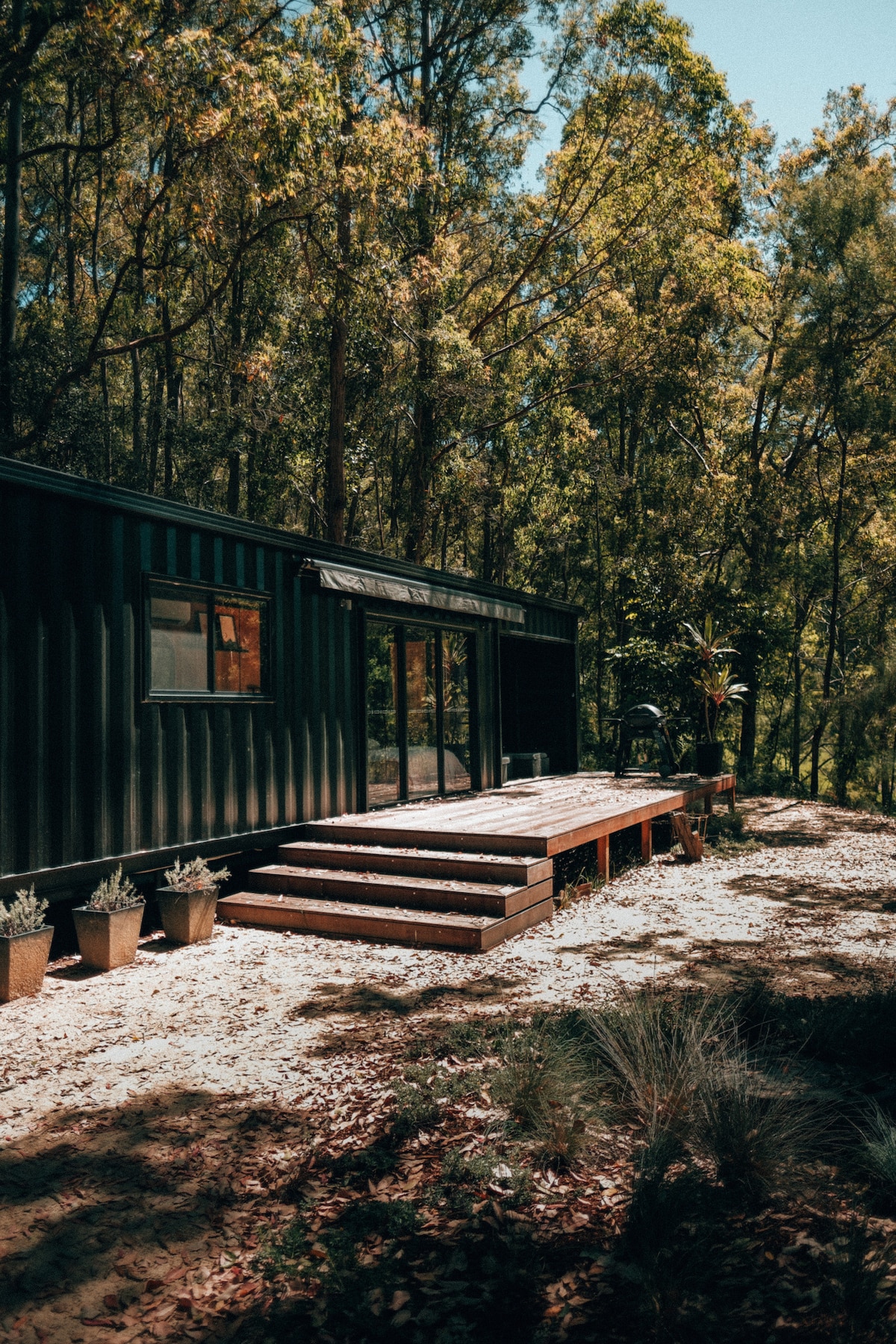 A cabin made from a shipping container is nestled among tall trees, featuring a wooden deck with steps leading to the entrance. Potted plants line the edge of the deck, complementing the serene forest surroundings.