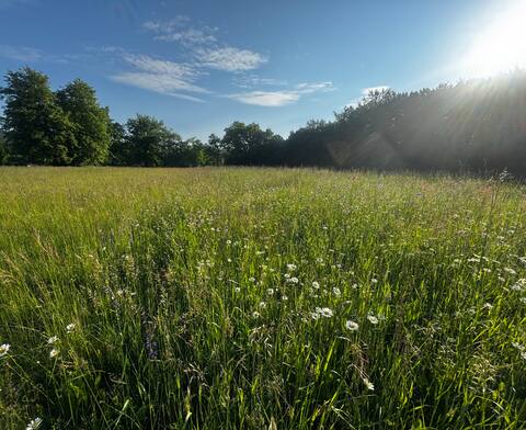6 bedrooms, parking, big terraces, best Alp views