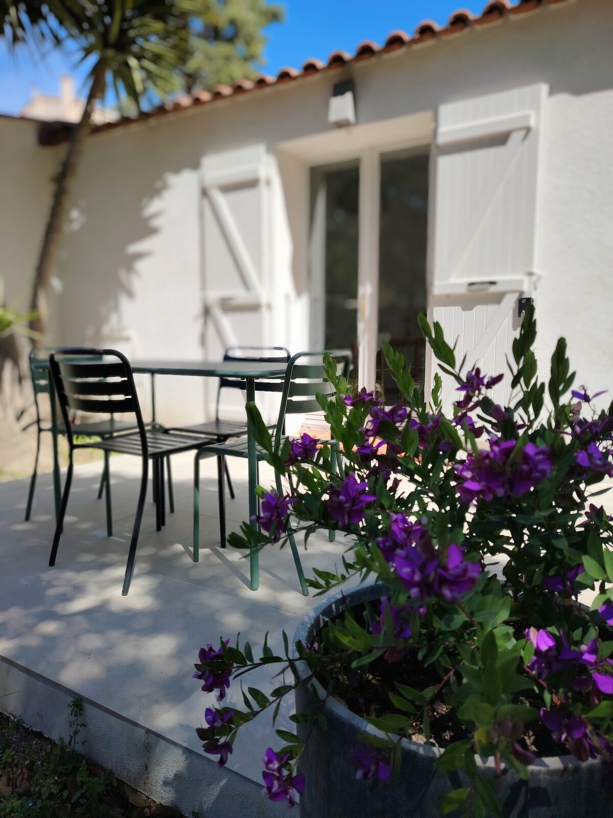 An outdoor seating area features a table and four black chairs, set against a backdrop of light-colored walls and white shutters. A purple flowering plant in a pot adds a vibrant touch to the patio space, which is bathed in natural daylight.