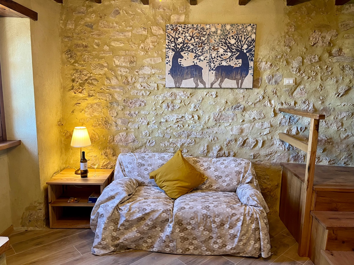 Top performing Airbnb: "Le Casette" vacation home in Camaiore