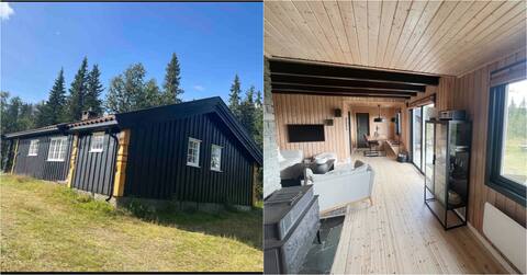 Cozy mountain cabin | Hiking trails right outside the door