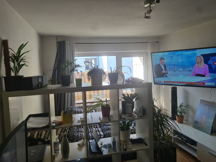 Schöne Kleine Wohnung In Bester Lage - Mayence