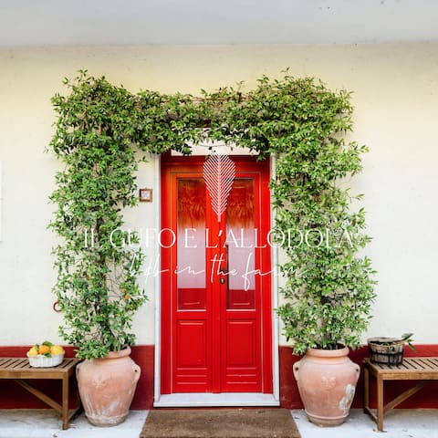 Farmhouse just steps from the center of Caiazzo.