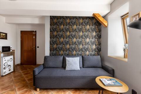 Apartments in the center - apartment 2