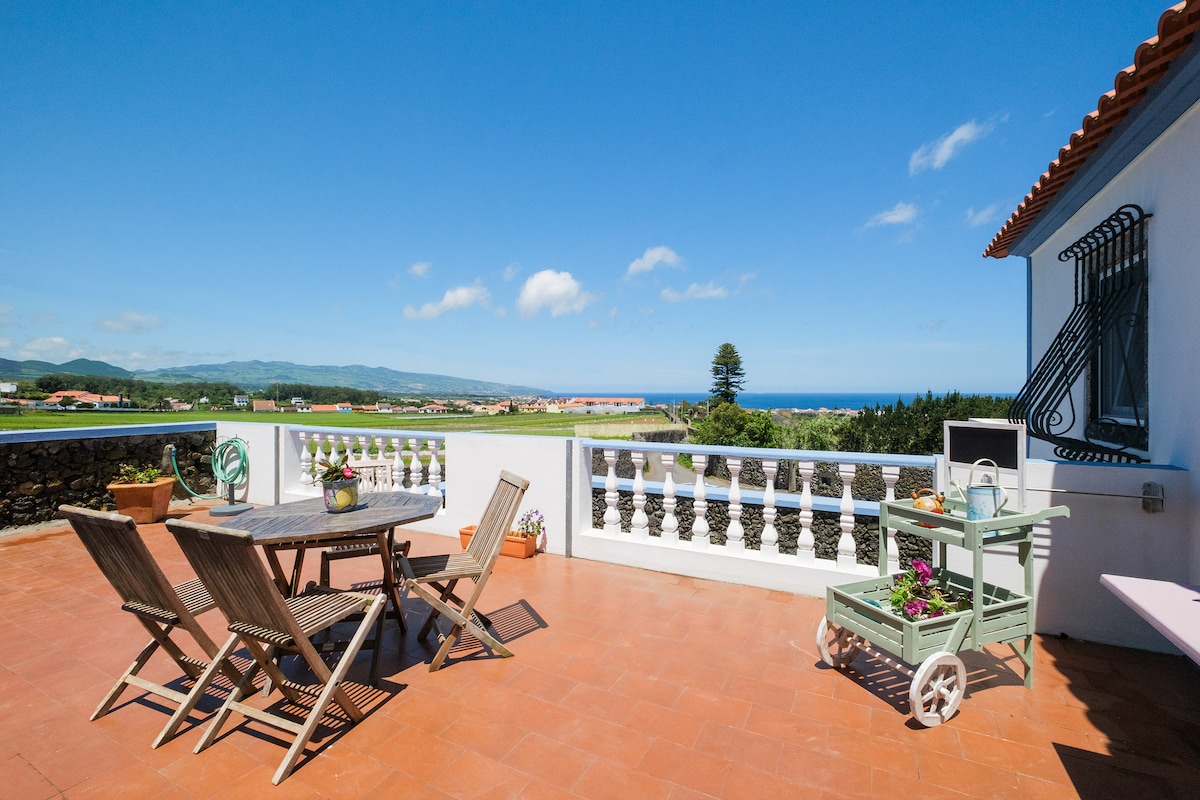 A spacious terrace features a wooden dining table surrounded by folding chairs. Potted plants add color, while a cart with flowers sits nearby. The ocean and landscape can be seen in the distance, under a clear blue sky with scattered clouds.