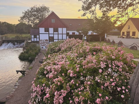 Historic watermill by the river & sea