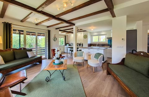 House 10/12 people Embrun