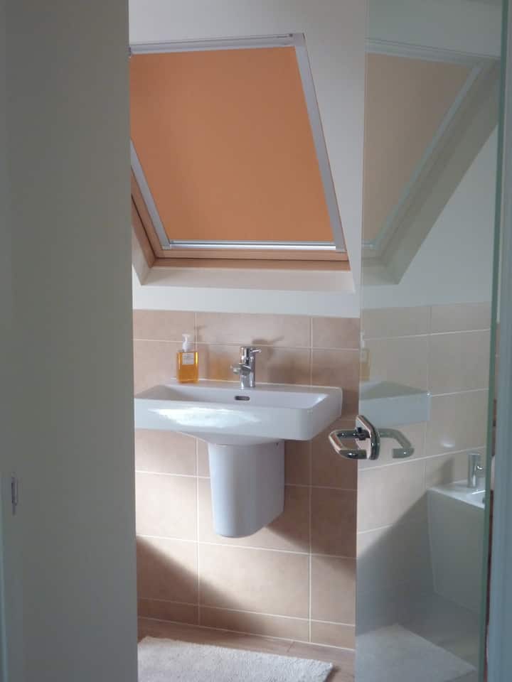 Porta vetrata smerigliata al bagno privato
