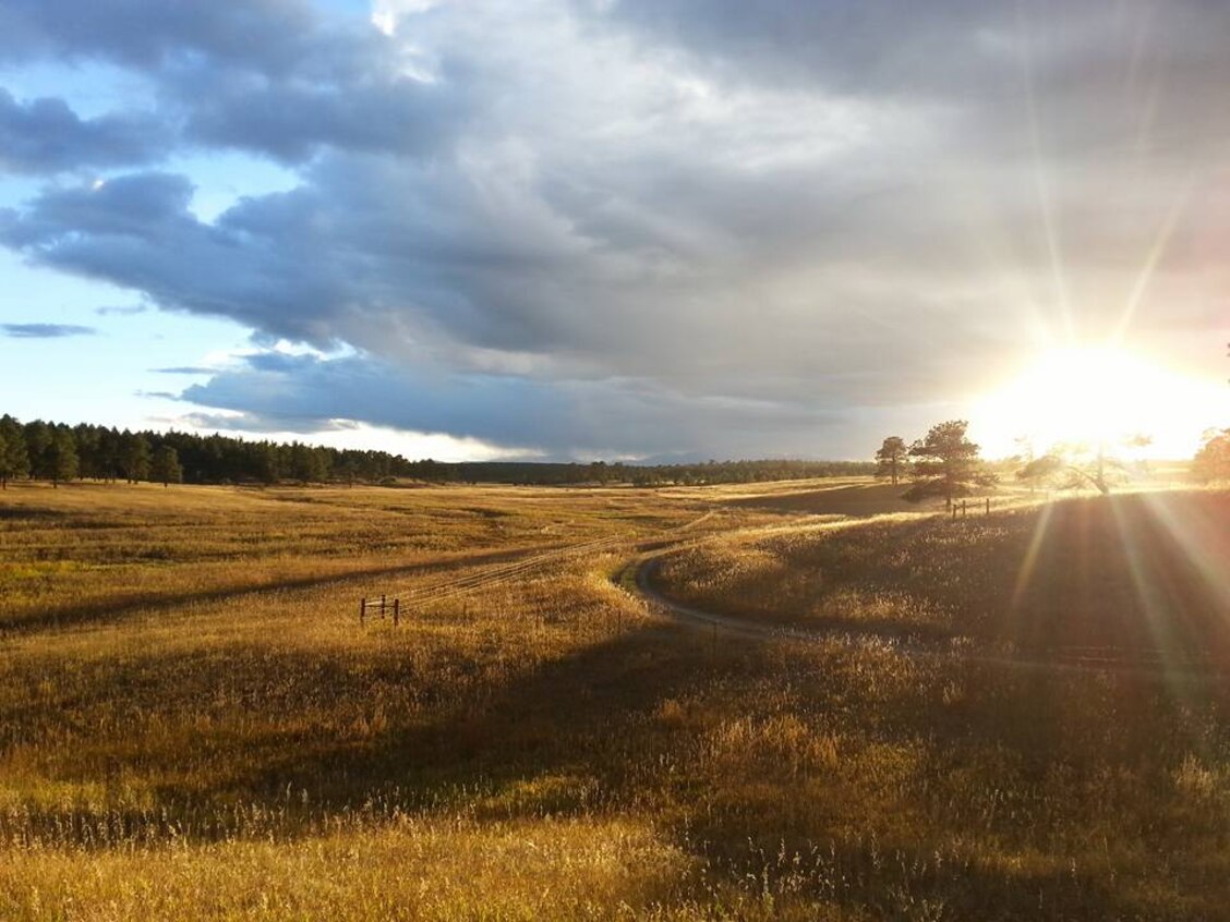 Conservation Ranching Up Close