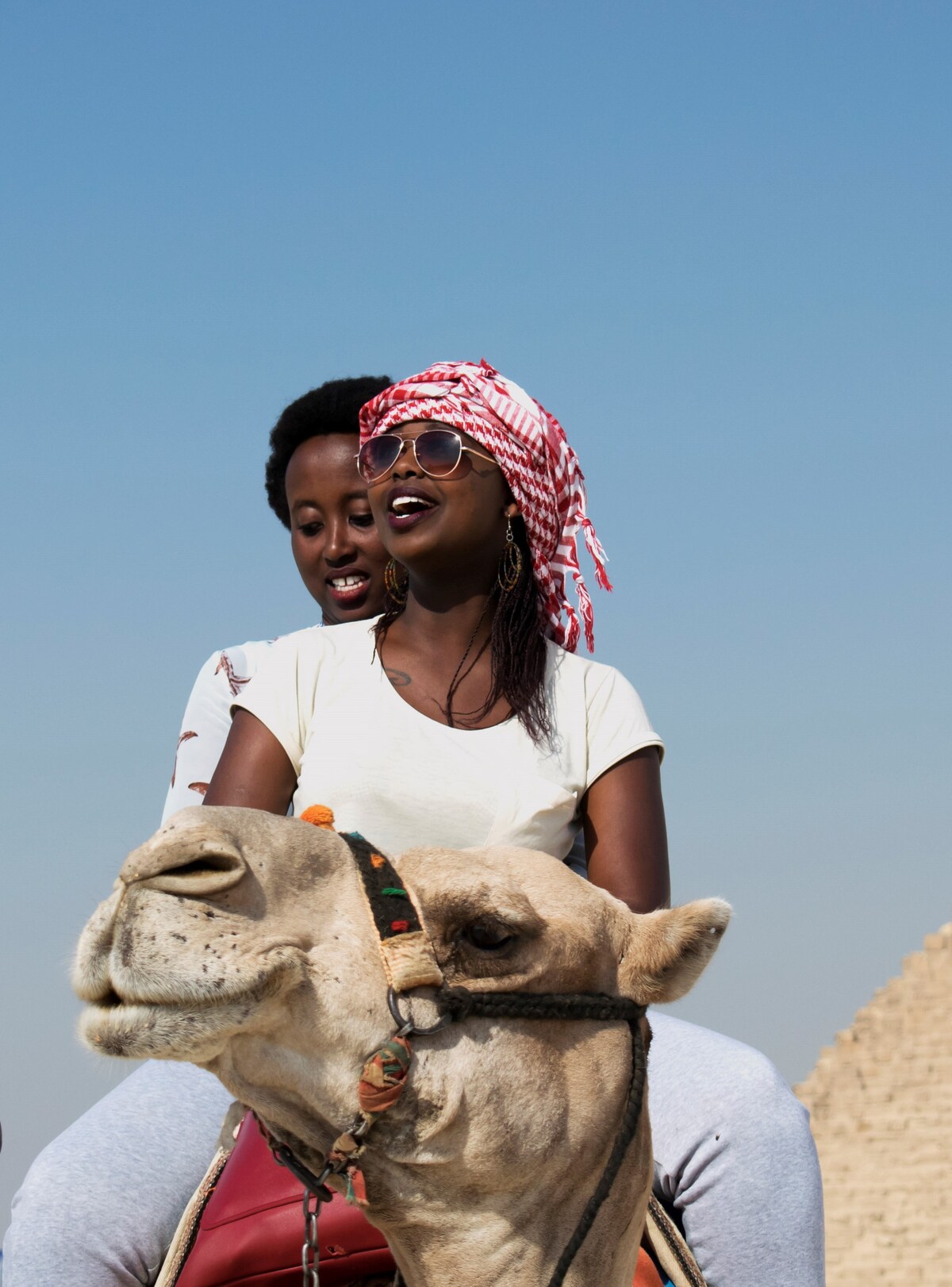 Best Things to Do in Giza Governorate Unique Tours & Activities
