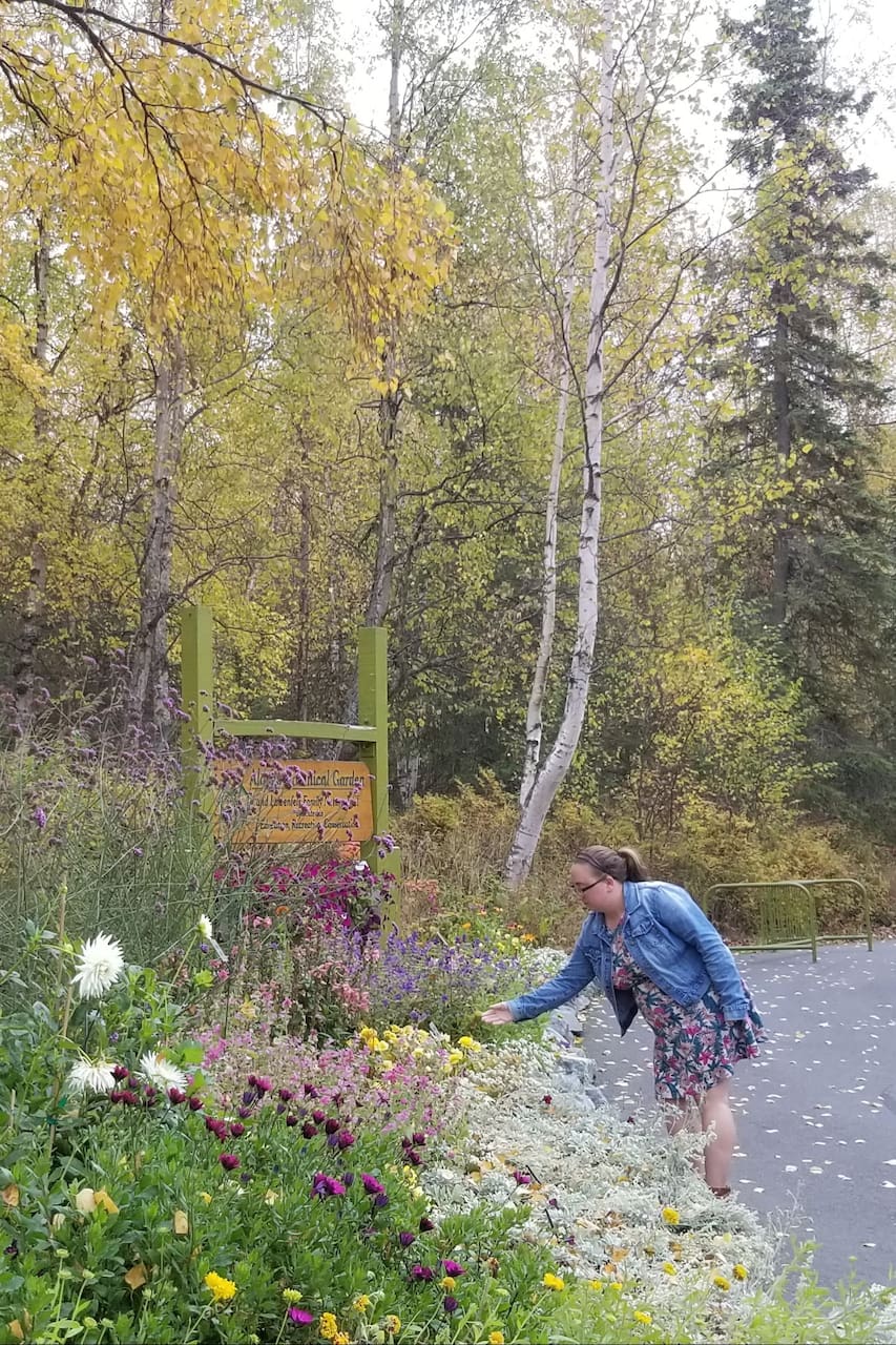 Tour Of The Alaska Botanical Garden