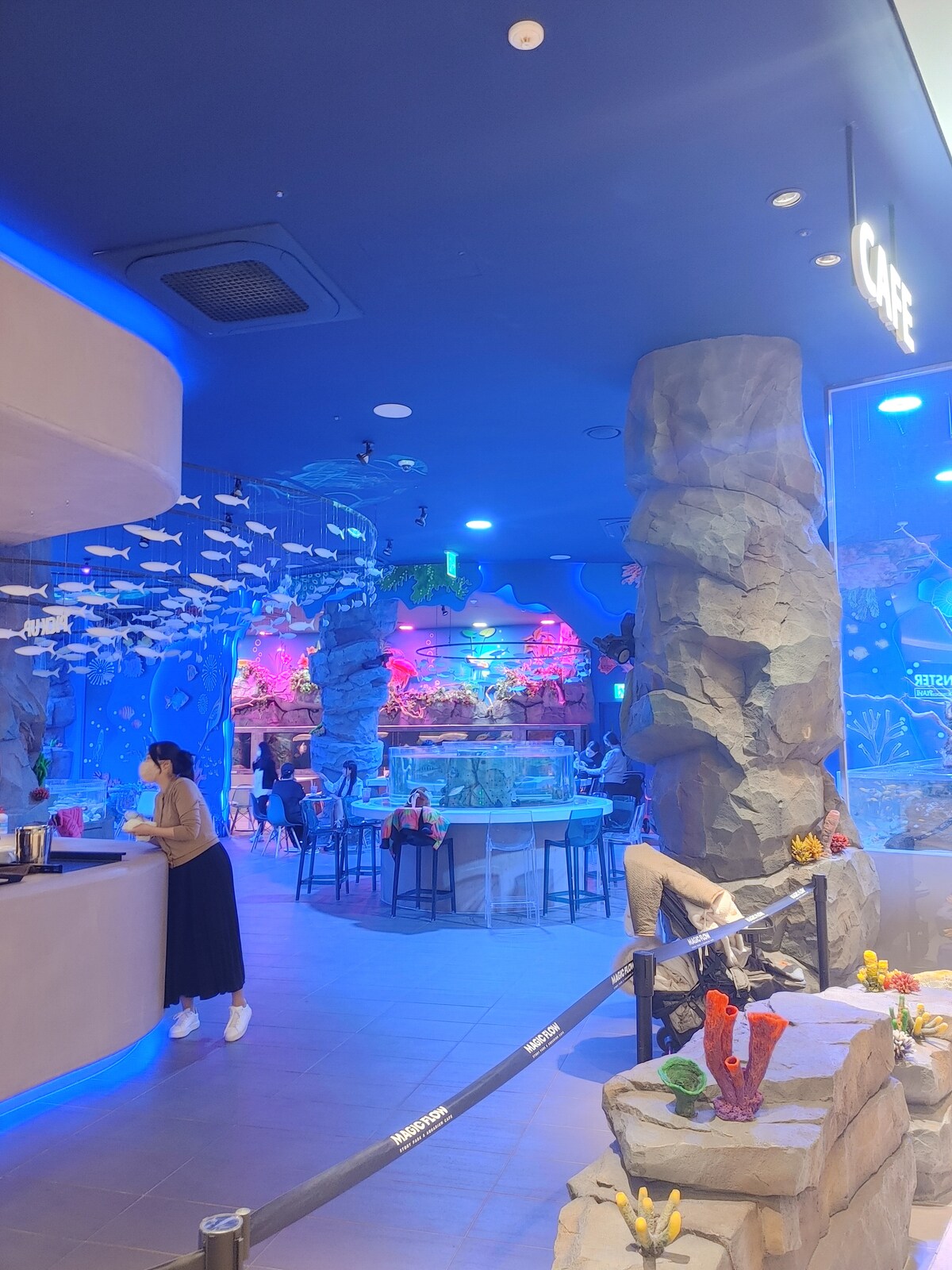 Sports Activities in Yellow Sea | Experiences, Activities & More! - Airbnb