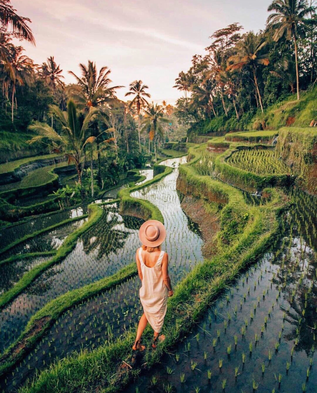 All Inclusive See Great Things Of Ubud