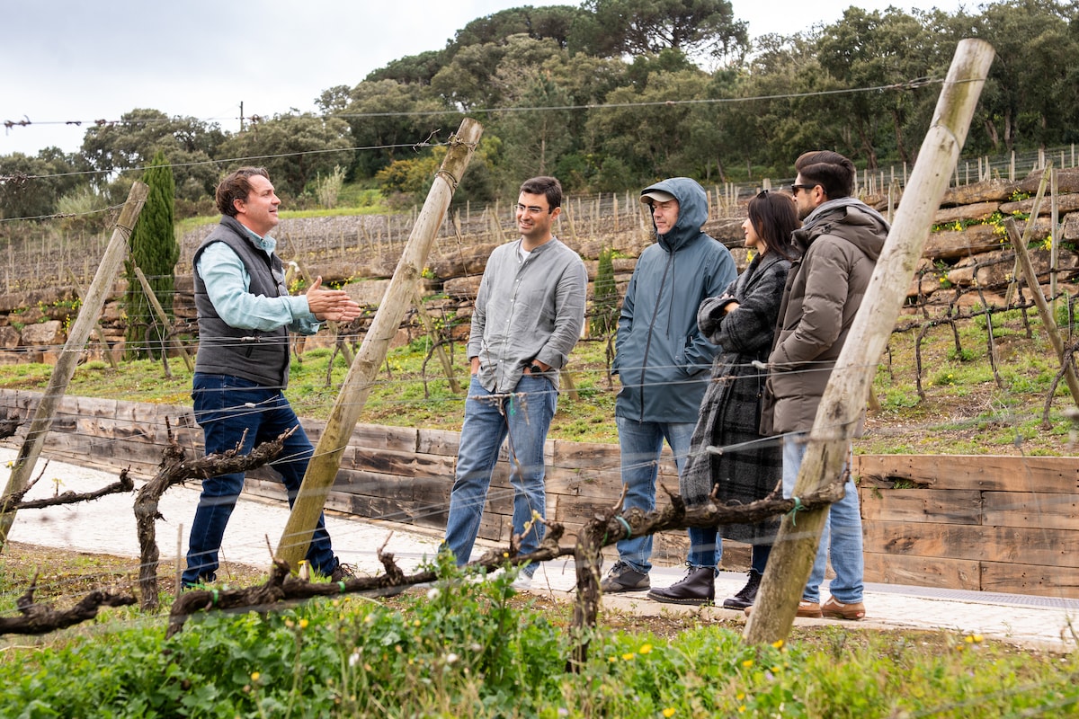 Descubra as vinhas de Lisboa com um guia de vinhos