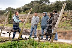 Lisbon wine tasting half day