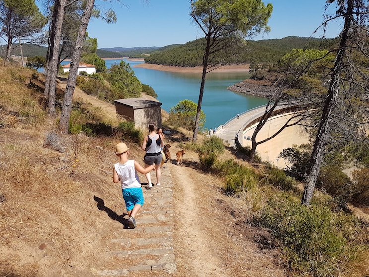 Show full-screen, host-provided image