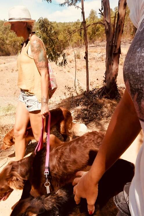 Show full-screen, host-provided image