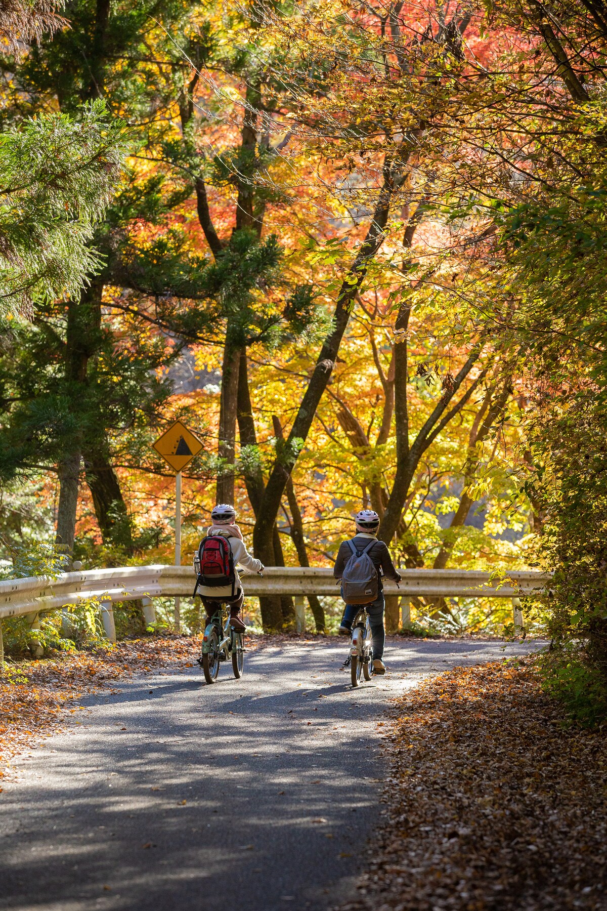 Best Things to Do in Tōkai Region Unique Tours & Activities Japan