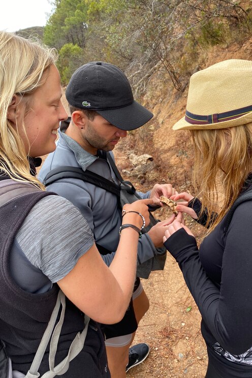 Show full-screen, host-provided image