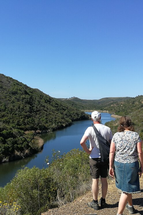 Show full-screen, host-provided image