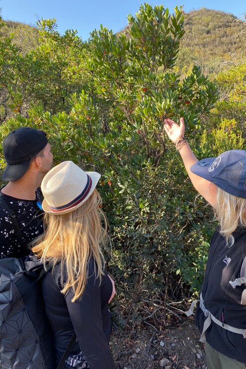 Show full-screen, host-provided image