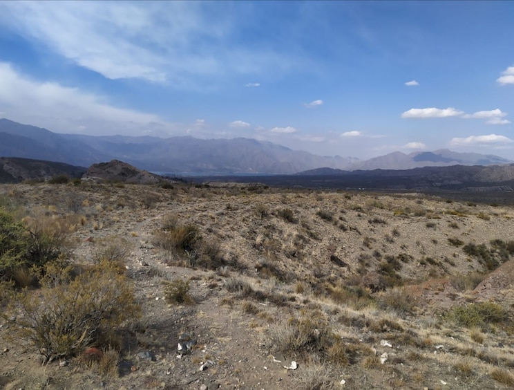 Show full-screen, host-provided image