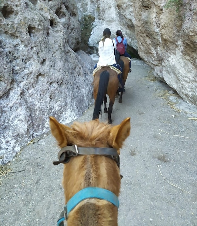 Show full-screen, host-provided image