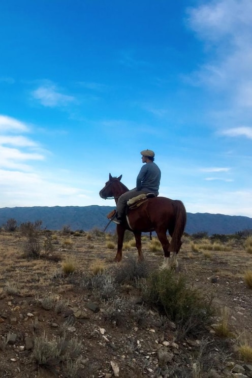 Show full-screen, host-provided image