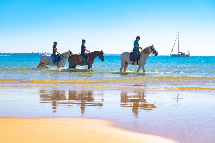 Show full-screen, host-provided image