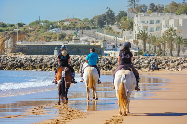 Show full-screen, host-provided image