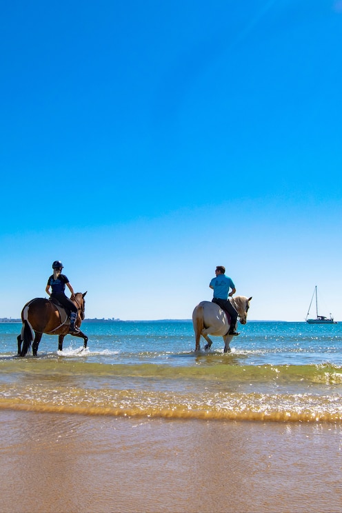 Show full-screen, host-provided image