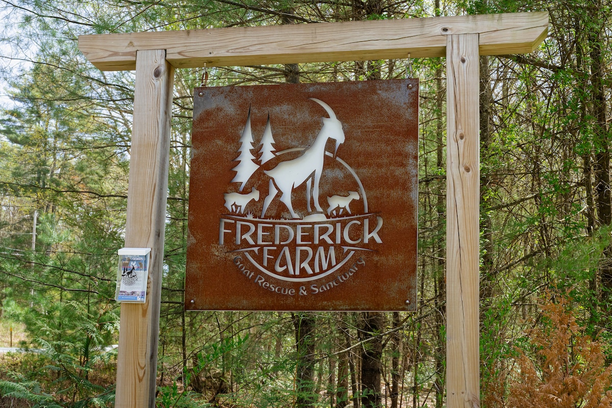 Adventure Hike with the Herd