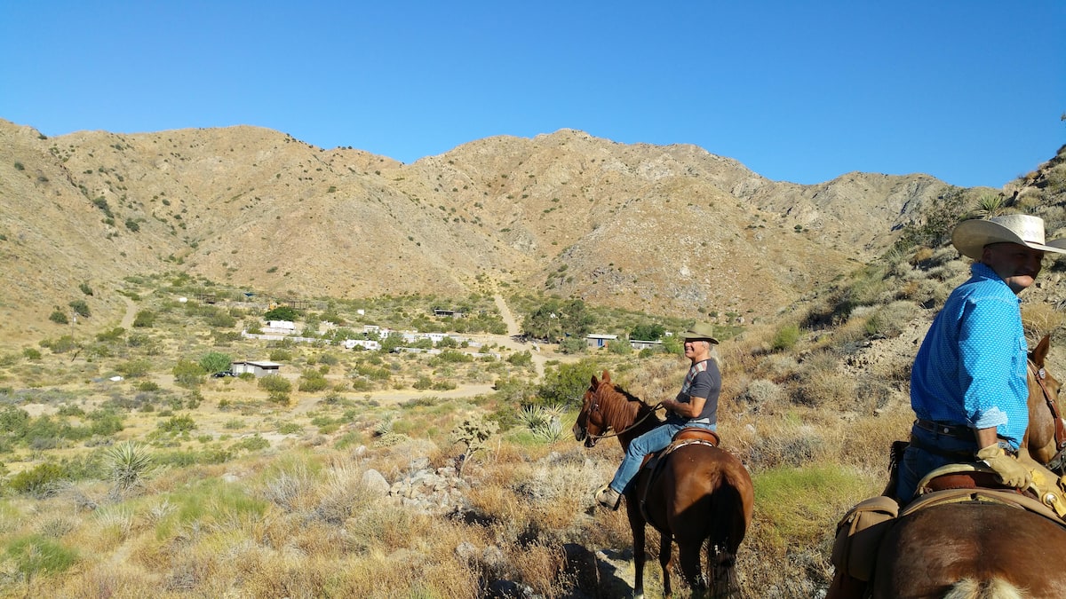 Horseback trail ride