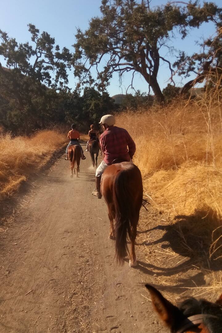 Horse lover's ranch and ride adventure Airbnb