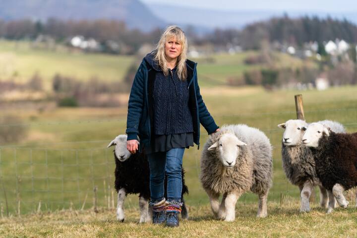 Фото Впечатления 4