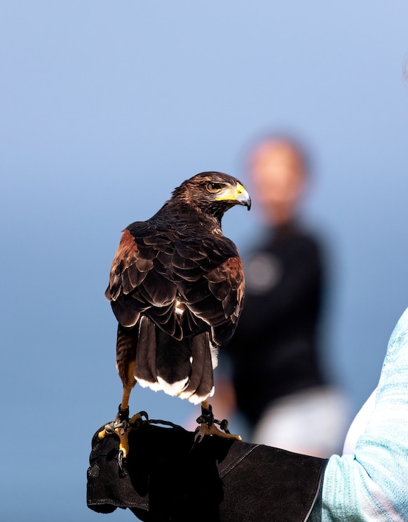 Показать полноэкранное фото от хозяина