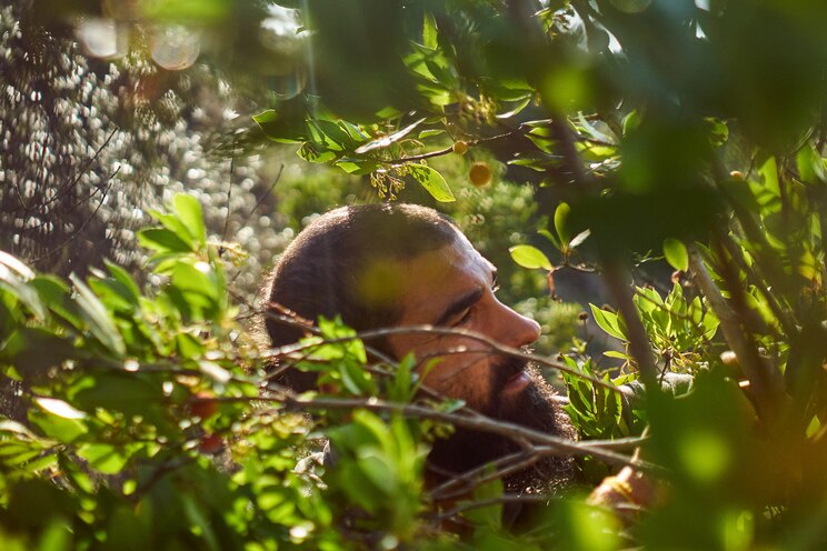 Show full-screen, host-provided image