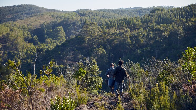 Show full-screen, host-provided image