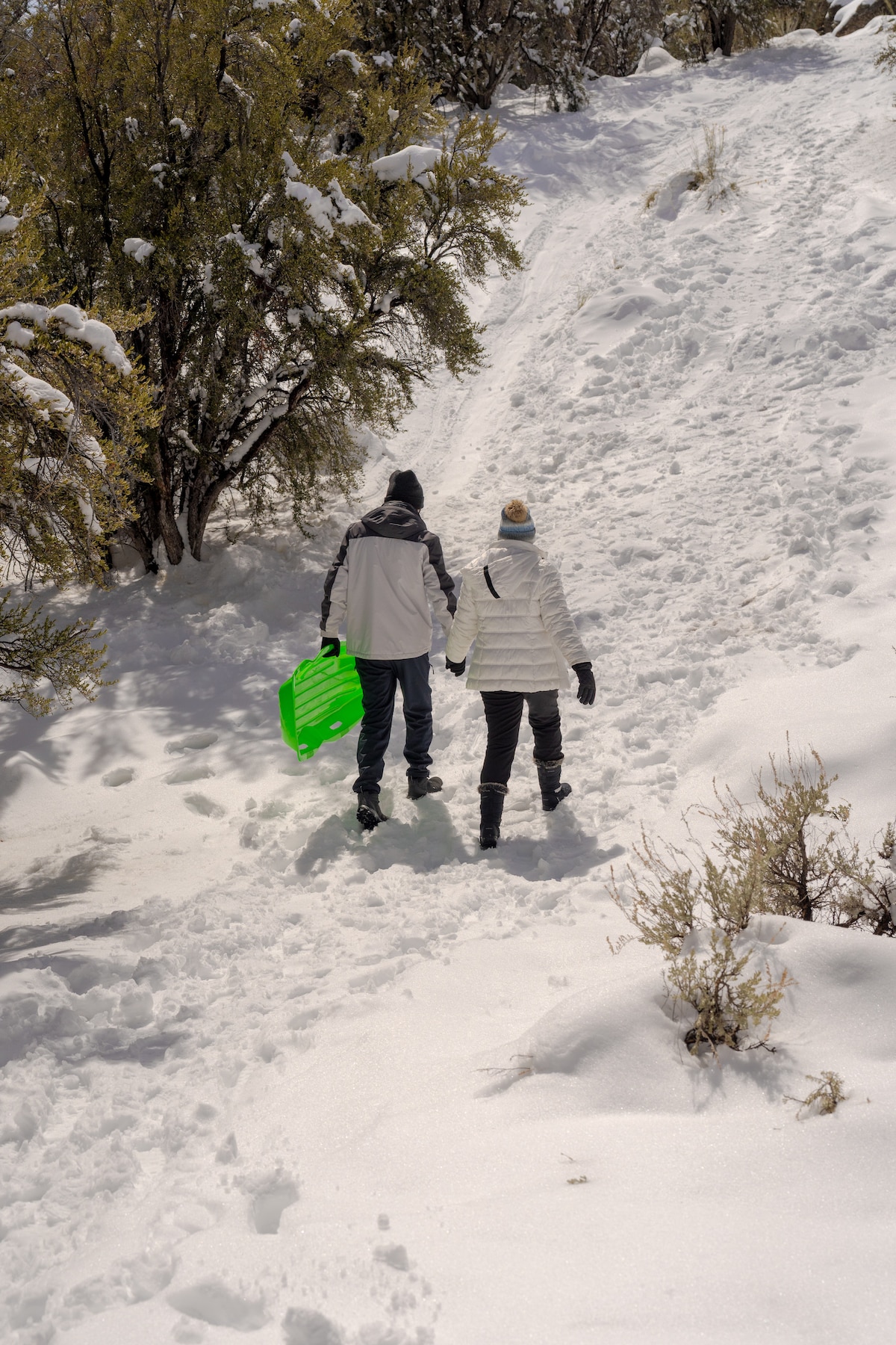 玩雪，品尝热鸡尾酒