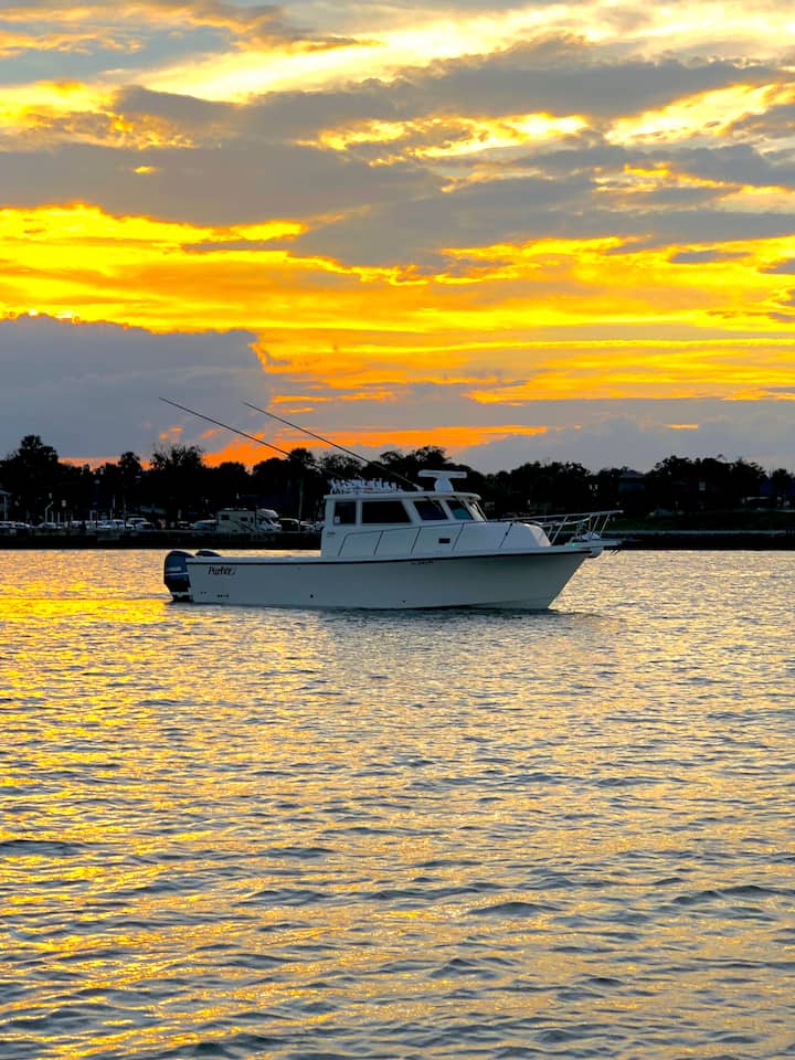 SUNSET & NIGHT OF LIGHTS BOAT RIDE Airbnb