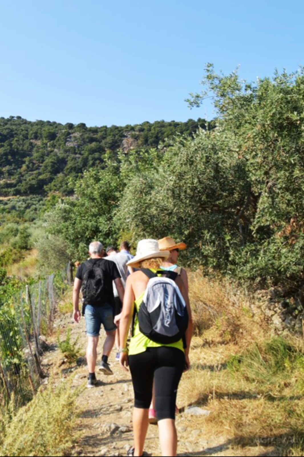 Hike In A Real Cretan Oasis