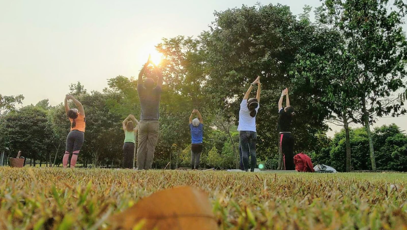 Keep Fit Yoga At Botanic Gardens