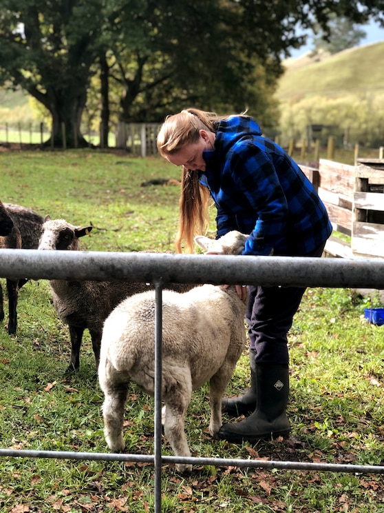 Show full-screen, host-provided image