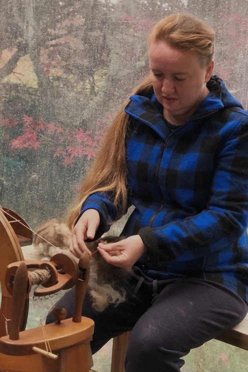 Show full-screen, host-provided image