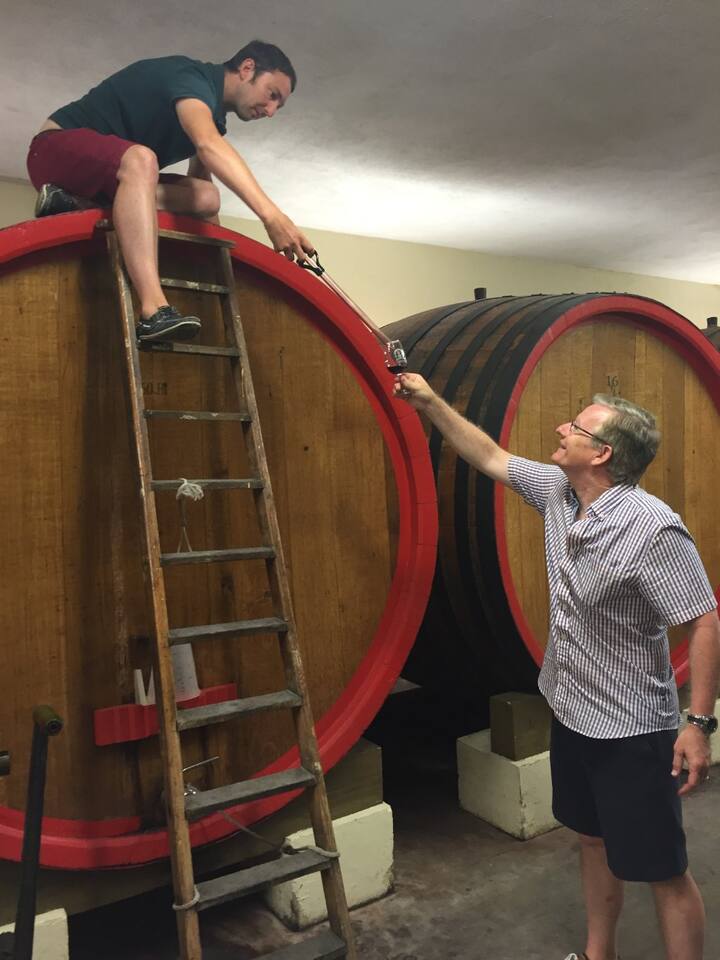 Chateauneuf Du Pape Wine Tour Airbnb Chateauneuf Du Pape Wine Tour Airbnb
