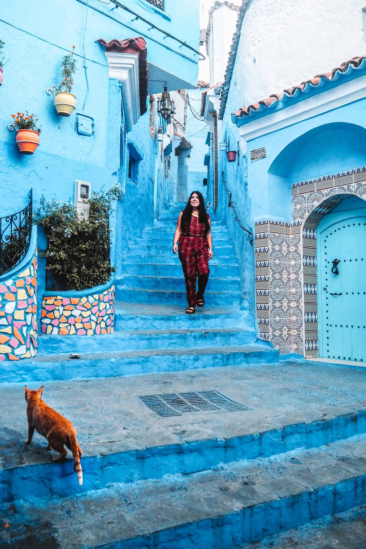 Wilaya de Fes : les meilleures activités | Visites et expériences uniques -  Maroc | Airbnb